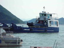 200406110036