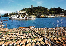 200505182156